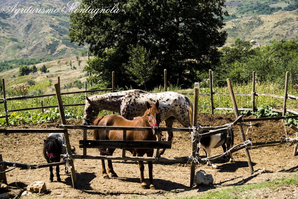 Willa Agriturismo Montagnola Abruzzo Casalanguida Zewnętrze zdjęcie