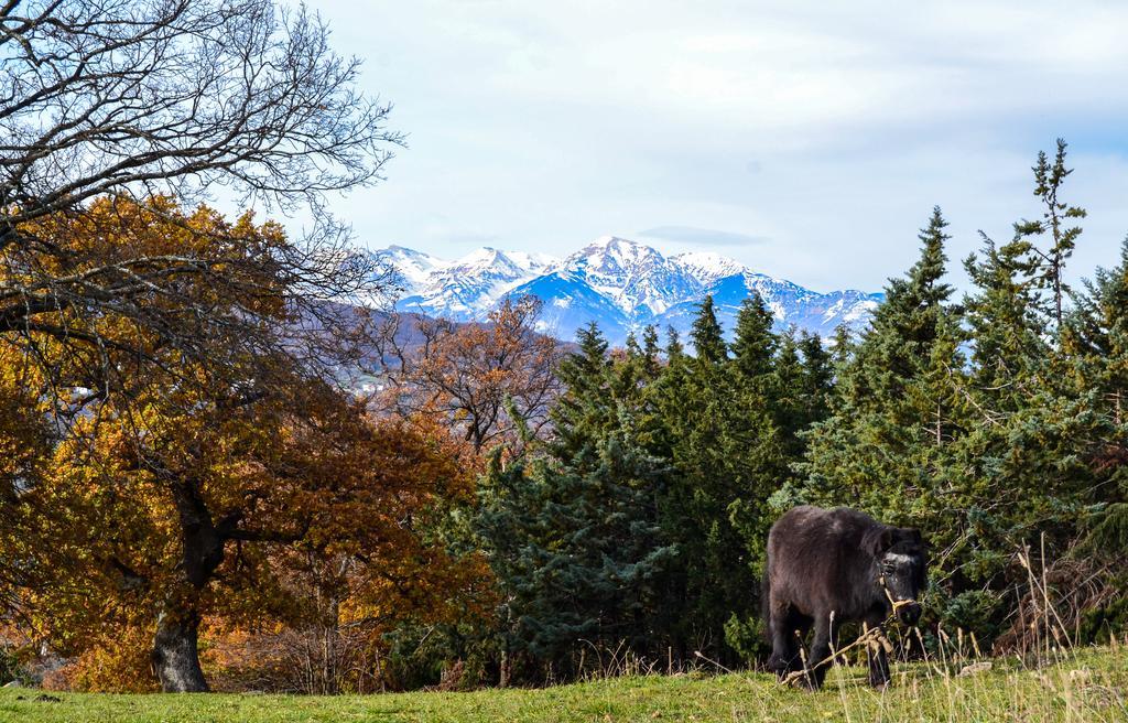 Willa Agriturismo Montagnola Abruzzo Casalanguida Zewnętrze zdjęcie