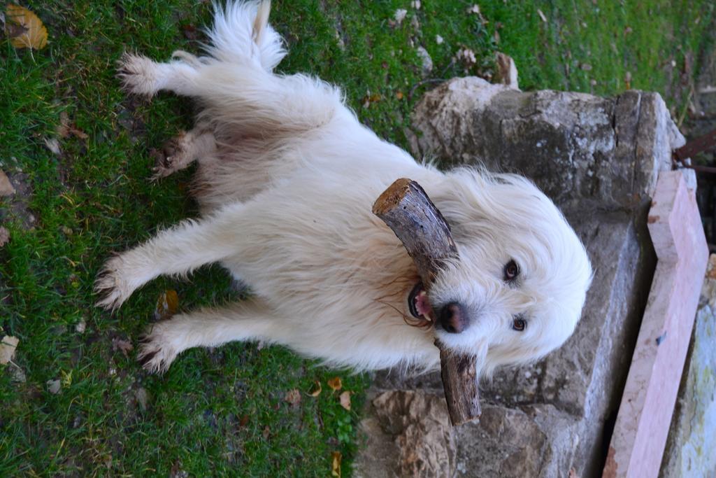 Willa Agriturismo Montagnola Abruzzo Casalanguida Zewnętrze zdjęcie